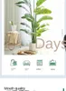 Decorative Flowers Faux Silk Paradise Palm Tree Artificial Potted Plant Fake For Living Room Home Decoration 6 Foot