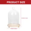 Storage Bottles Desk Top Decor Decorative Lights Romantic Ornament Gift Hand Model Glass Cover Ornaments Glowing Adorn White Lovers