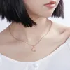 ペンダントネックレス2023年S925中国のZodiac Sign Moon Animal Choker Chain Sterling Silver 925ネックレス女性女の子