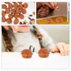 Party Decoration 50 Pcs Props Artificial Walnut Model Fake Food Plastic Lifelike Decorations For Home