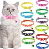 Obroże dla szczeniąt dla kota na szczeniakach regulowany naszyjnik treningowy dla psa z kolorowym dzwonkiem dla kota puppy smycz