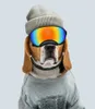Hundglasögon hund solglasögon glas för hundskidskidskydd med UV -skydd husdjur solglasögon med justerbar rem 231227