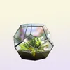 NCYP MODERN VERRE Terrarium Pot de fleurs or Gold Geometric Terrarium Bonsai Flower Pots Planteur Planter Bureau Bureau Flowerpot Y2007237709529