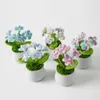 Decorative Flowers Knitting Crochet Potted Plants Handmade Gradient Forget Me Not Mini Ornament Home Car Decoration