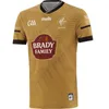 2024 Dublin Kilkenny GAA Jerseys 23 24 Armagh Donegal أسفل Fermanagh Louth Tyrone Kildare Tipperary Wexford Derry Home Antrim Monaghan Size Size S-5XL