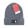 Fashion Beanies Knitted Hat Unisex Skull Cap Beanie High Quality Pure Cashmere Men Womens Winter Street Trendy HatsC-17