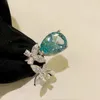 Cluster Anneaux 2023 Anneau Sterling Silver High Carbon Diamond Drop Aquamarine Deux bijoux d'ouverture de papillon S925