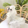 Kant Strik Jurk Huisdier Bruiloft Huisdier Kleding Decoratie Teddy Yorkshire Chihuahua Puppy Witte Bruiloft Sluier Set Hond Accessoires 231226