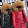 Large Natural Raccoon Fur Collar Hooded Winter Down Jacket Women 90% White Duck Down Thick Warm Park Female Long Snow Coat 231226