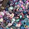 50MLJar tranche de coquille de mer naturelle Fragments d'ormeau Texture 3D charme Nail Art décoration s pour femme bricolage 231226
