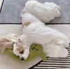 INS Pet sommeil profond chien lit oreiller chiot chat lit doux pur coton confortable mignon fournitures pour animaux de compagnie adapté à tous les chiens 231226