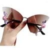 Lunettes de soleil Fashion Butterfly Forme pour les adolescents filles Voyage de camping d'été