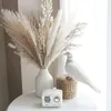 Decorative Flowers 30Pcs Dried Pampas Grass Decor Natural Flower Bouquet With Pampa Tails For Home Boho Wedding Party