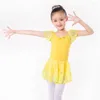 Stage Wear 2023 Dance Leotard para meninas Chegada Vintage Sweet Lace Ballet Dress Filhos de saia dançando de alta qualidade