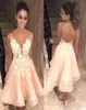 Sexy Backless Champagne Party Dresses V Sheer Neck Straps 3D Floral Applique Cocktail Eevning Dress Homecoming Formal Wear Custom 5308064