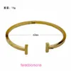 Designer de jóias tifannissm pulseiras geométricas duplas em forma de t pulseira aberta galvanizada moda mulheres jóias estilo instagram com caixa original