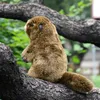 Groundhog Cute Plushie Bobac Plush Plush Toys Life Animal Simulazione bambola imbottita Kawai Toy Gifts for Kids 231225