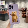 Candy Color Cartoon Teddy Bear Case na iPhone 14 15 11 12 13pro Max 14 Plus odporna na wstrząs, urocza okładka