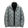 Down Jacket Men's Autumn and Winter New White Duck Down Youth Jacket Casual Men's Short Standing Collar Top