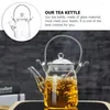 Dinnerware Sets Glass Tea Pot With Infuser: Kettle Water Pitcher Teapot Handle 350ML For Cold Coffee Drinks