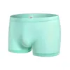 Underpants Men Ice Silk Seamless Underwear Sexy Breathable Transparent Boxer Briefs Panties Men's