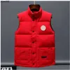 Designer Vest Mens Vests Mens Pock Jacket Goose Waistcoat Feather Material Coat Färgglad moderock