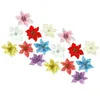 Decoratieve bloemen 16 STKS Kerstsimulatie Goudpoeder Bloemboom Hanger Garland Accessoires DIY Kunstmatig (Goud