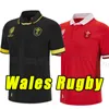 2023 2024 Уэльс регби-майки сборной Cymru Sever версии World Polo футболка 23 24 Welsh Men Kids Kit Trabil