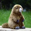 Groundhog Cute Plushie Bobac Plush Plush Toys Life Animal Simulazione bambola imbottita Kawai Toy Gifts for Kids 231225