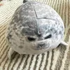 Stuffed Plush Animals 20cm Seal Pillow Kaiyukan Popular Soft Seal Doll Aquarium Plush Toy 231228