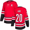 maglia da hockey 20 Sebastian Aho 86 Teuvo Teravainen 10 Ron Francis 37 Andrei Svechnikov Personalizzato Uomo Donna Gioventù Qualsiasi nome Qualsiasi numero mostra registro