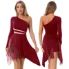 Arrivée de scène Arrivée Femmes One épaule à manches longues Asymétriques Robes patchworks Dancewear Latin Dance Robe