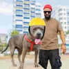 Dog Apparel Pet Funny Hat декоративная кошка на открытом воздухе. Защита для защитников щенка.