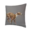 Pillow Greyhound Sighthound Dog Capa Casa Decorativa Padrão Animal Caso de Caso para Impressão de Duas Lados do Carro