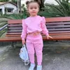Детский костюм из однотонного материала для девочек от 1 до 8 лет, укороченные топы с длинными рукавами и штаны, модные весенне-осенние детские костюмы, 2023 231228