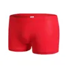 Underpants Men Ice Silk Seamless Underwear Sexy Breathable Transparent Boxer Briefs Panties Men's