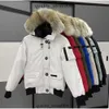 Canda Goose Golden Goose Pilot Canadese donsjas Echt wolvenbont Canvas parka's met capuchon Letterpatch Ritszakken Warm dik Uitloper 240