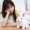 ぬいぐるみのぬいぐるみシミュレーションkawaii long Ear