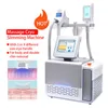 Cryolipolysis 360 Cryo Fat Freezing Loss Vikt Slimming Kurva Formning Vakuum RF Rolling Body Massager Double Chin Ta bort Cryo Salon