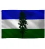 3X5FT Drapeau de Cascadia Haute Qualité Suspendus Publicité Numérique Imprimé Polyester Pour Festival Club Sports Intérieur Extérieur 1371846