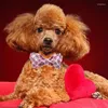 Collari per cani in stile unico Paws Collar Heart Collar Pink's San Valentino Collana cucciolo per piccolo medio grande grande