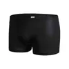 Underpants Men Ice Silk Seamless Underwear Sexy Breathable Transparent Boxer Briefs Panties Men's