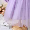 女の子のドレスPudcoco Little Fall Princess Dress Long Sleeve Round Neck Tulleパッチワーク3D花の装飾3-7T