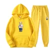 Korean Cartoon Teddy Bear Letter Printed Hoodie with Ins Top, Autumn Trendy Set, Hooded Two-piece Set