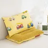 Children's Pure Cotton Skin-friendly Pillow Super Soft Baby Sleeping Pillow Removable Washable Kindergarten Special Nap Pillow 231228