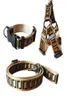 Web Celebrity Tik Tok FF Luxury Dog Collars Leases Set Designer Dog Leash Seat Belts Pet Collar and Pets Chain With For Small Med7819792