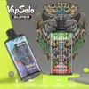 Vapestyle 15000 Puffs Bars Одноразовые сигареты Vape Pen E 25 мл Предварительно заполненные капсулы Картридж 650 мАч Перезаряжаемая батарея Puffs 15K Местный склад Быстрая доставка