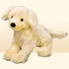 Simulação animal golden retriever brinquedo de pelúcia bonito boneca filhotes presente aniversário carro decoração macia 50cm dy509905639161