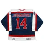 Dostosuj OHL Windsor Spitfires Jersey Mens Womens Kids 3 Giallonardo 6 Tim Gleason 14 Jovanovski Hockey