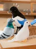 Stuffed Plush Animals Simulation Pigeon Plush Toy Cartoon Birds Peace Dove Doll Children Doll Gift WholesaleL231228